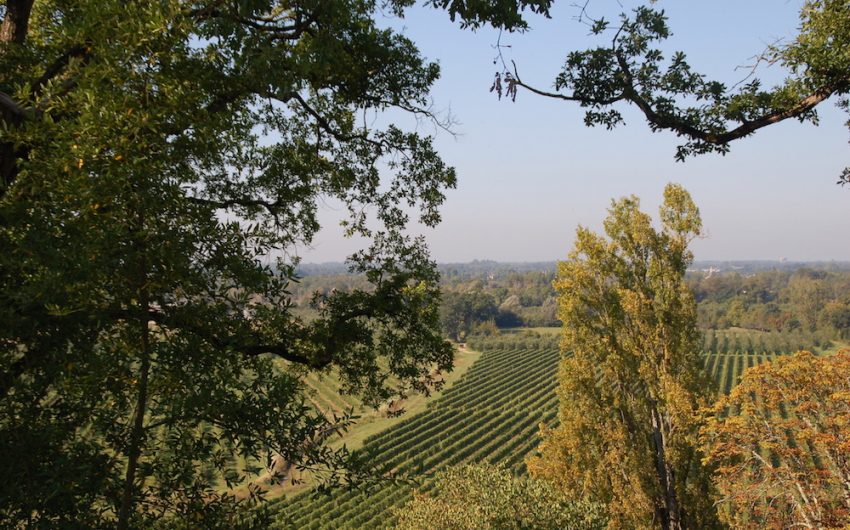 Château au coeur de vignobles à vendre près Bordeaux